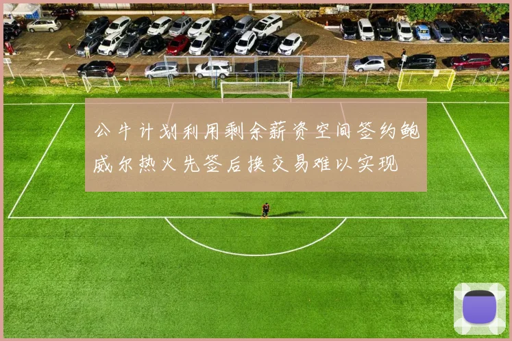 公牛计划利用剩余薪资空间签约鲍威尔热火先签后换交易难以实现