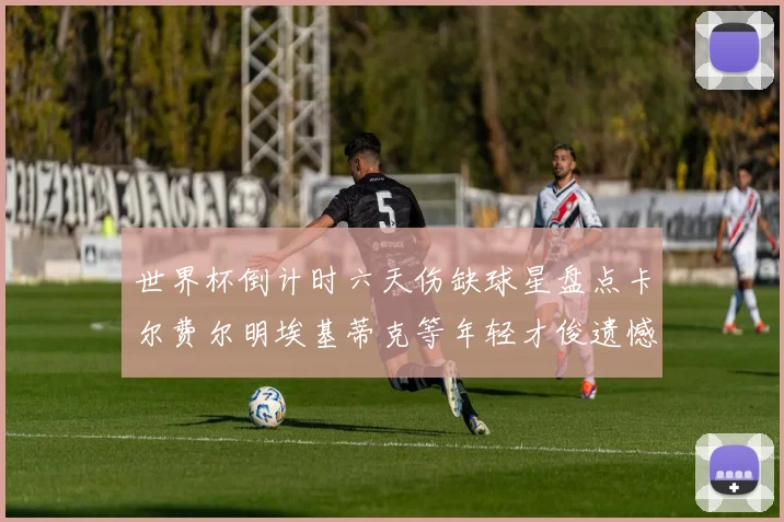 世界杯倒计时六天伤缺球星盘点卡尔费尔明埃基蒂克等年轻才俊遗憾缺席